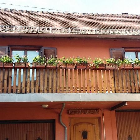 Gite Du Vigneron Mittelwihr Bagian luar foto